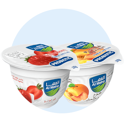 Fruit Yogurt